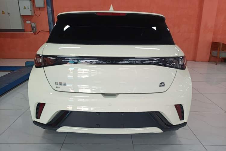 Used BYD Dolphin 2021 405 km Fashion Edition Rear