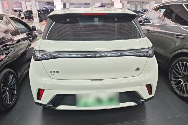 Used BYD Dolphin 2021 405 km Fashion Edition Rear