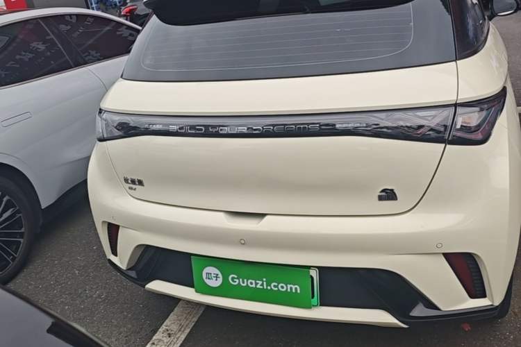 Used BYD Dolphin 2021 405 km Fashion Edition Rear