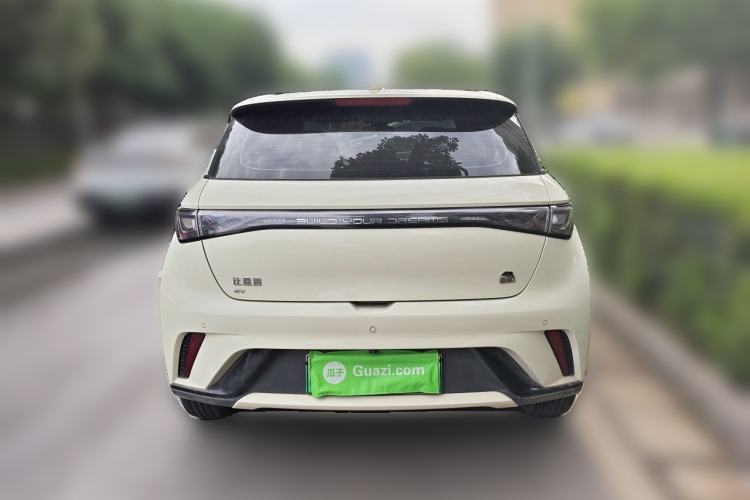 Used BYD Dolphin 2021 405 km Fashion Edition Rear