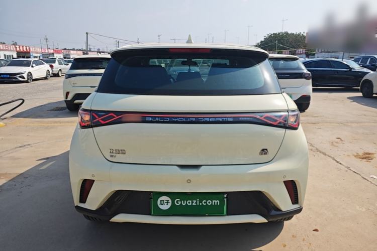 Used BYD Dolphin 2021 405 km Free Version Rear