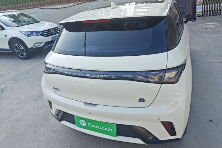 Used BYD Dolphin 2021 405 km Fashion Edition Rear