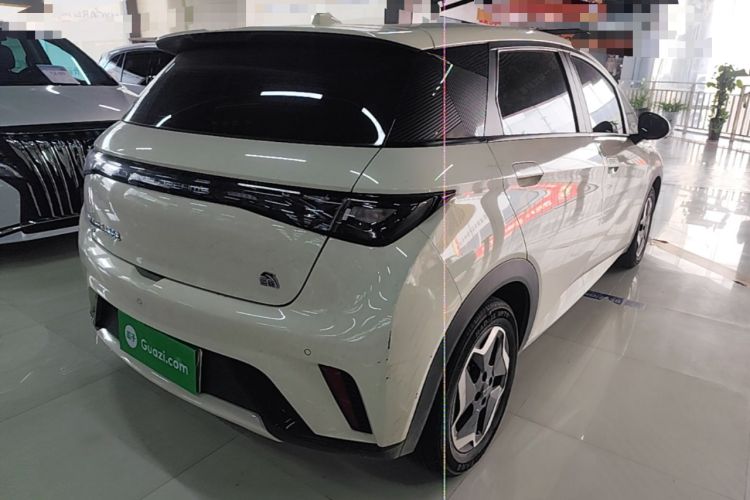 Used BYD Dolphin 2021 405 km Free Version Rear Right 45 Deg