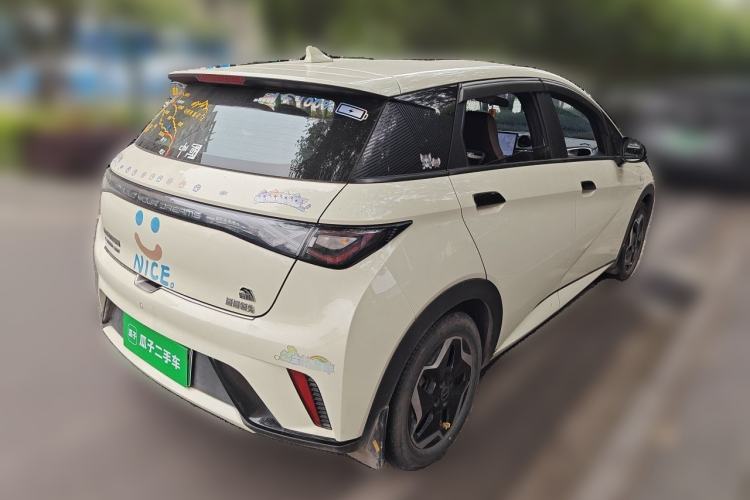 Used BYD Dolphin 2021 405 km Free Version Rear Right 45 Deg