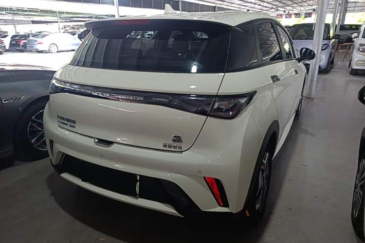 Used BYD Dolphin 2021 405 km Free Version Rear Right 45 Deg