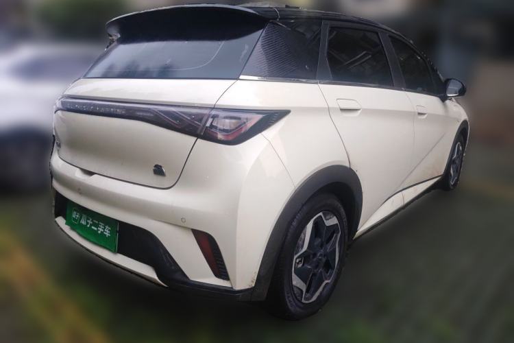 Used BYD Dolphin 2021 405 km Fashion Edition Rear Right 45 Deg