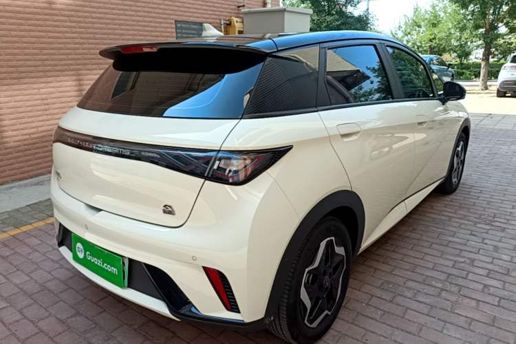 Used BYD Dolphin 2021 405 km Fashion Edition Rear Right 45 Deg
