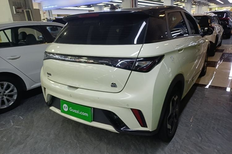 Used BYD Dolphin 2021 401km Knight Edition Rear Right 45 Deg
