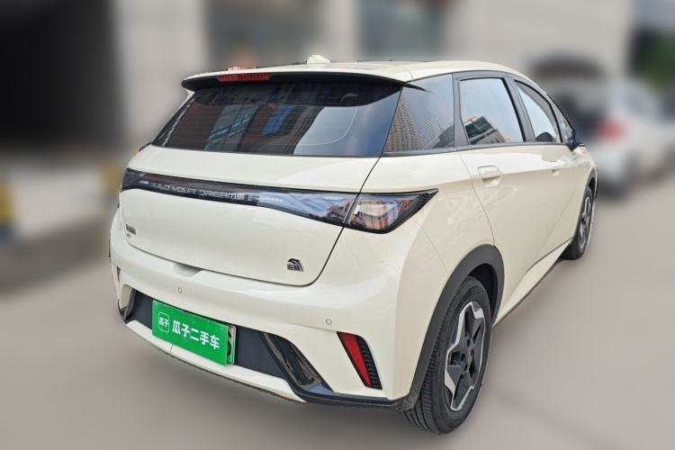 Used BYD Dolphin 2021 405 km Fashion Edition Rear Right 45 Deg