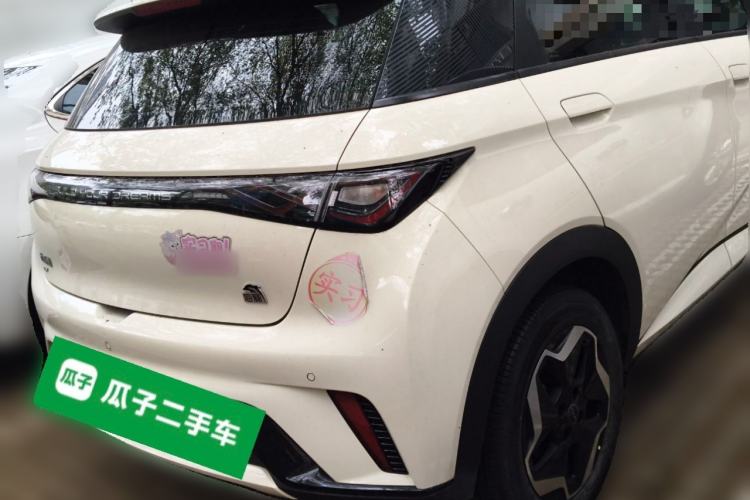 Used BYD Dolphin 2021 405 km Free Version Rear Right 45 Deg
