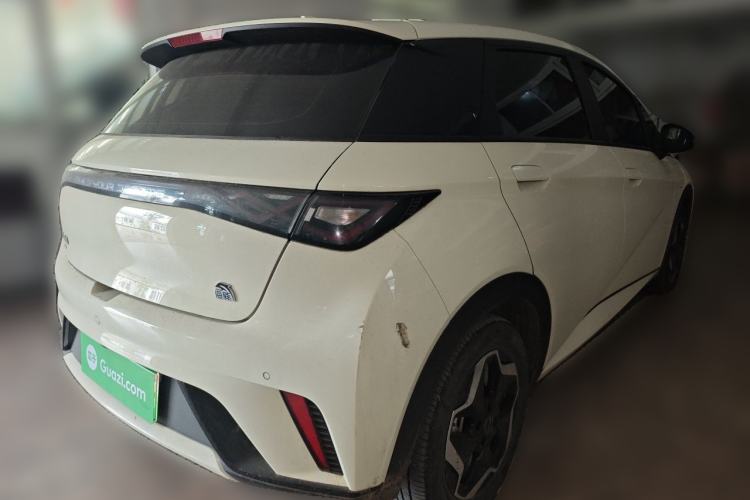 Used BYD Dolphin 2021 405 km Free Version Rear Right 45 Deg