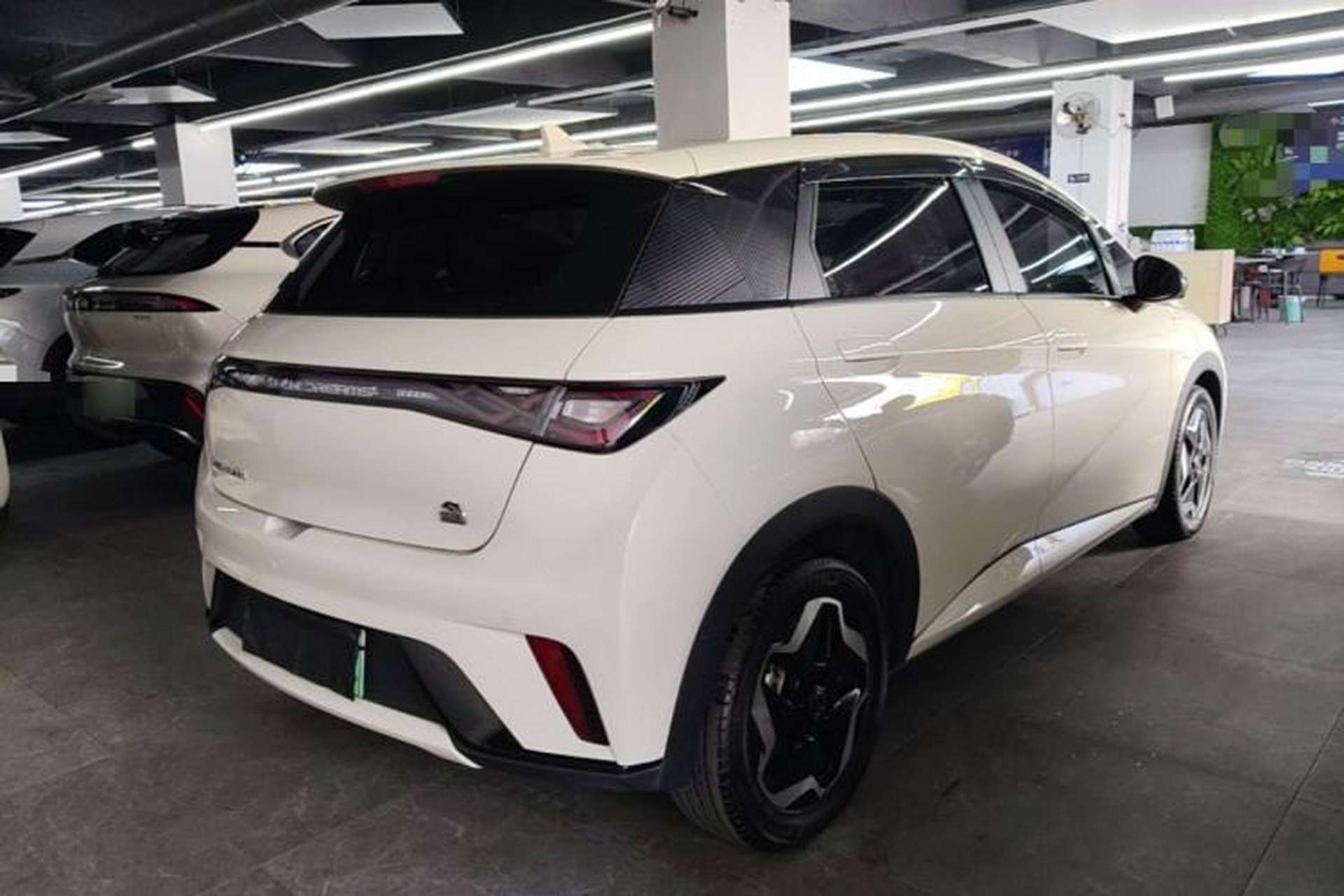 Used BYD Dolphin 2021 405 km Fashion Edition Rear Right 45 Deg