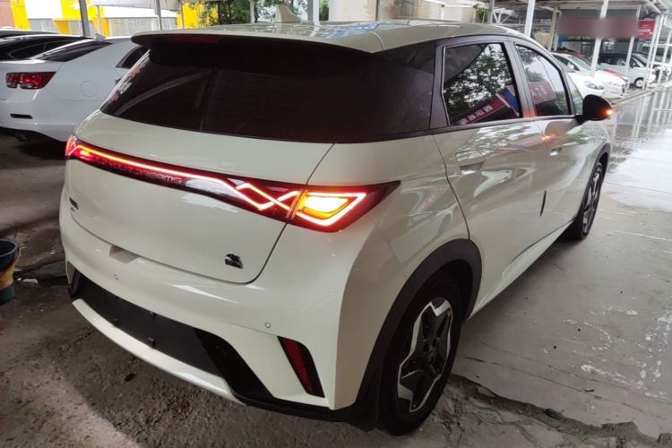 Used BYD Dolphin 2021 405 km Free Version Rear Right 45 Deg
