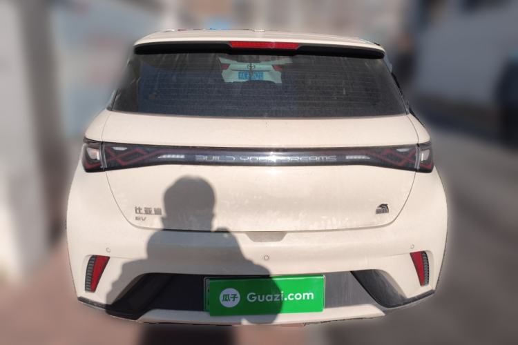Used BYD Dolphin 2021 405 km Fashion Edition Rear
