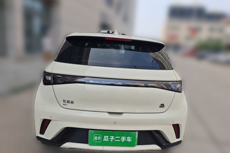 Used BYD Dolphin 2021 405 km Fashion Edition Rear