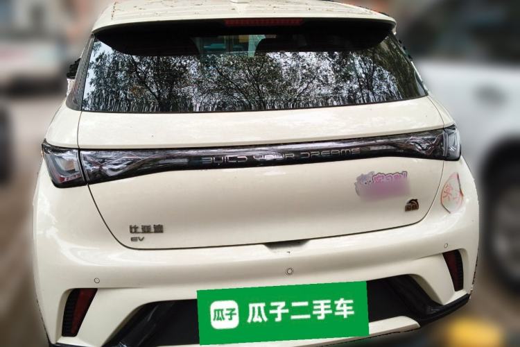 Used BYD Dolphin 2021 405 km Free Version Rear