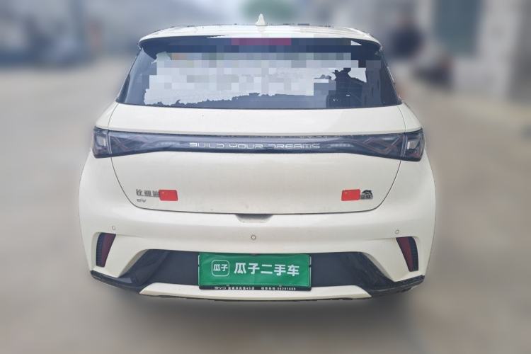 Used BYD Dolphin 2021 405 km Fashion Edition Rear