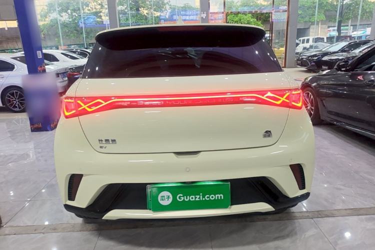 Used BYD Dolphin 2021 405 km Fashion Edition Rear