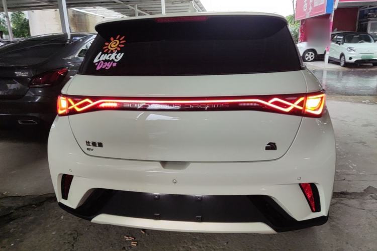 Used BYD Dolphin 2021 405 km Free Version Rear
