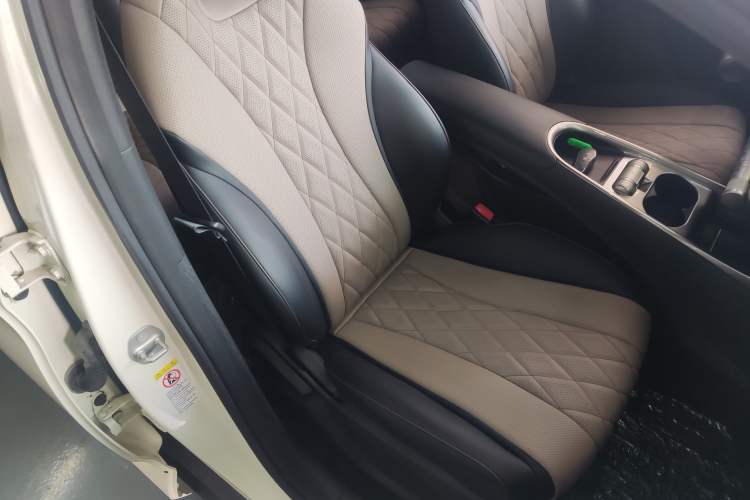 Used BYD Dolphin 2021 405 km Free Version Right Front Seat