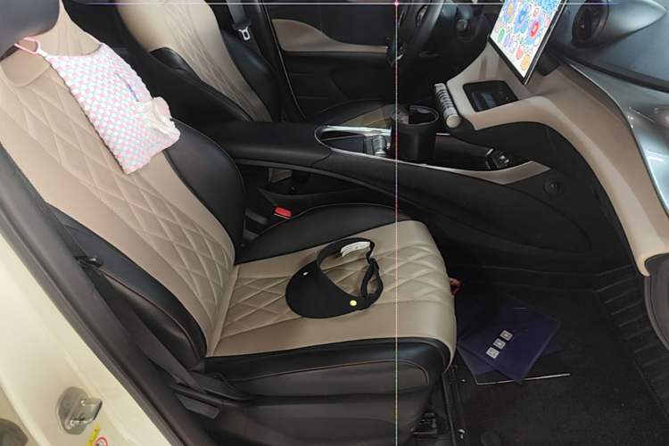 Used BYD Dolphin 2021 405 km Free Version Right Front Seat