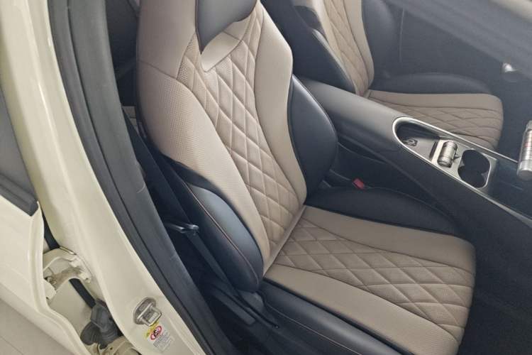 Used BYD Dolphin 2021 405 km Fashion Edition Right Front Seat