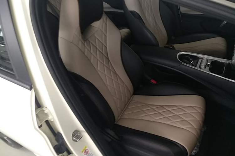 Used BYD Dolphin 2021 405 km Fashion Edition Right Front Seat