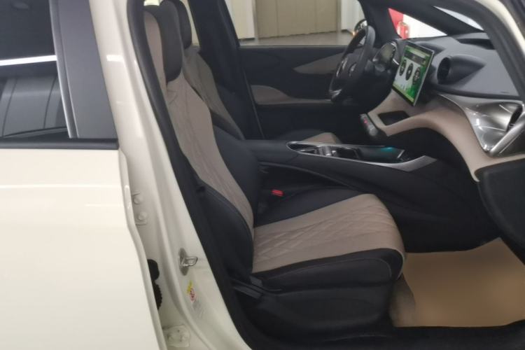 Used BYD Dolphin 2021 405 km Fashion Edition Right Front Seat