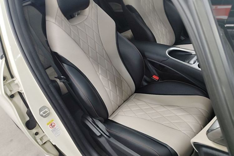 Used BYD Dolphin 2021 405 km Fashion Edition Right Front Seat