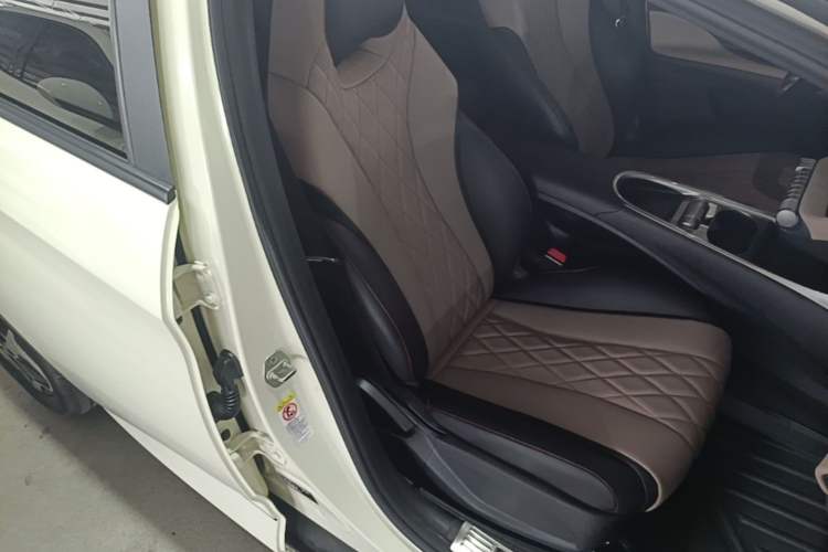 Used BYD Dolphin 2021 405 km Free Version Right Front Seat