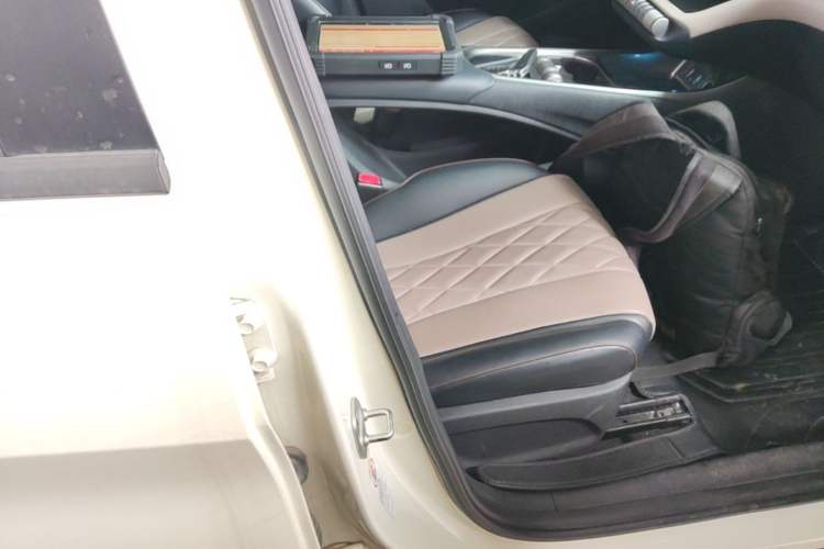 Used BYD Dolphin 2021 405 km Free Version Right Front Seat
