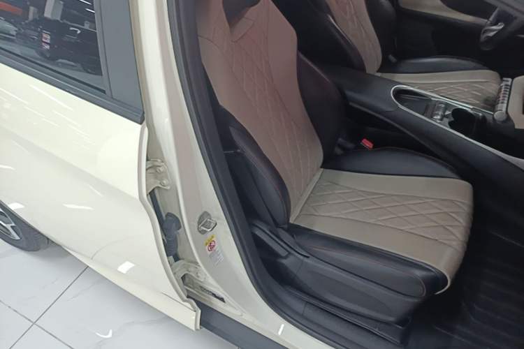 Used BYD Dolphin 2021 405 km Fashion Edition Right Front Seat