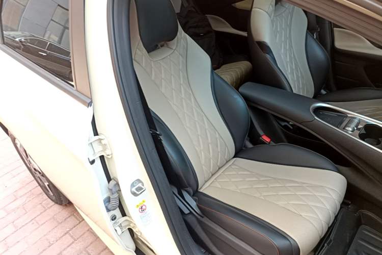 Used BYD Dolphin 2021 405 km Fashion Edition Right Front Seat