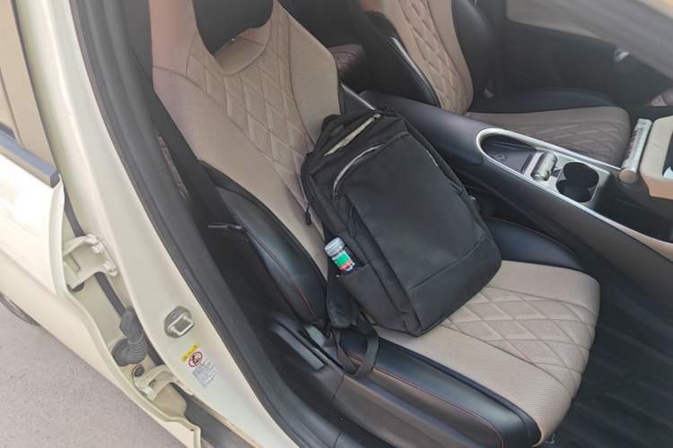 Used BYD Dolphin 2021 405 km Fashion Edition Right Front Seat