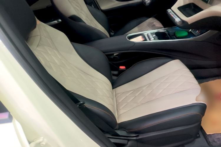 Used BYD Dolphin 2021 405 km Fashion Edition Right Front Seat