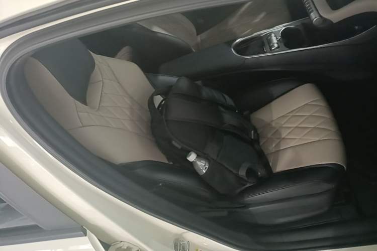 Used BYD Dolphin 2021 405 km Fashion Edition Right Front Seat