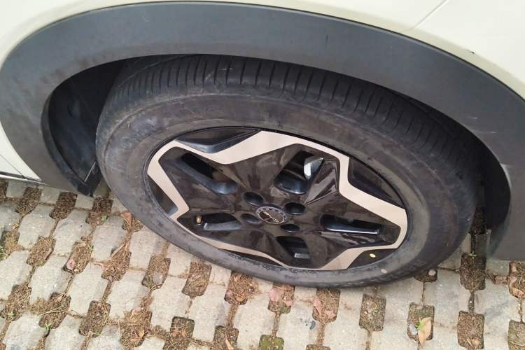 Used BYD Dolphin 2021 405 km Free Version Right Front Wheel Hub
