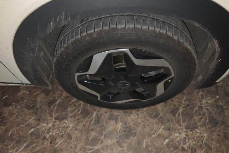 Used BYD Dolphin 2021 405 km Free Version Right Front Wheel Hub