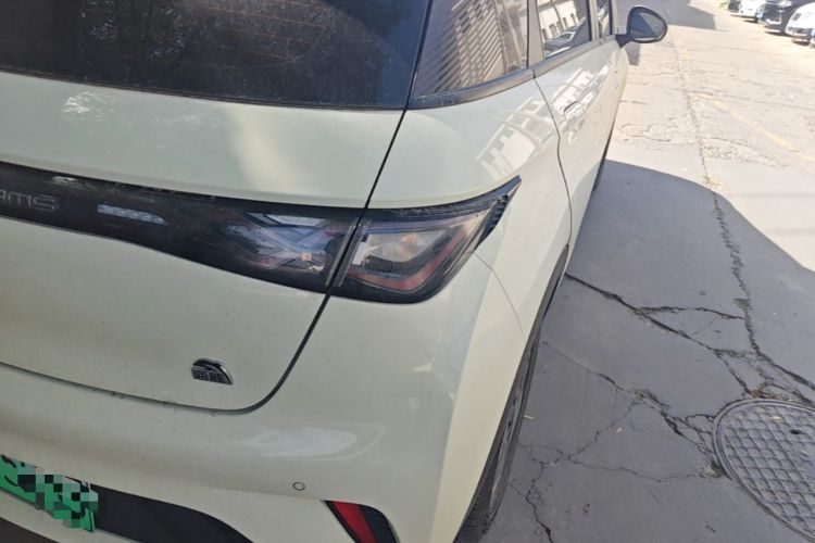 Used BYD Dolphin 2021 405 km Fashion Edition Right Rear Taillight