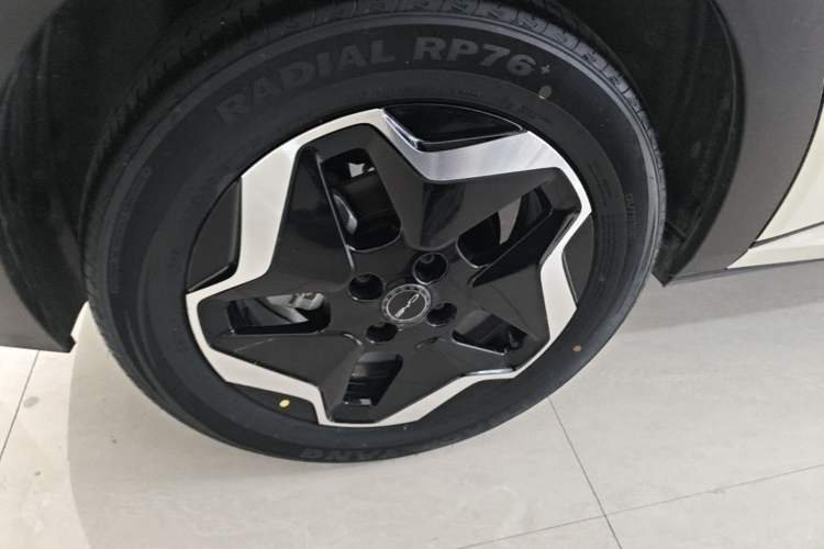 Used BYD Dolphin 2021 405 km Fashion Edition Right Rear Wheel Hub