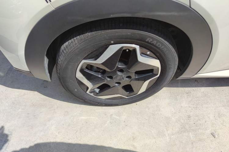 Used BYD Dolphin 2021 405 km Fashion Edition Right Rear Wheel Hub
