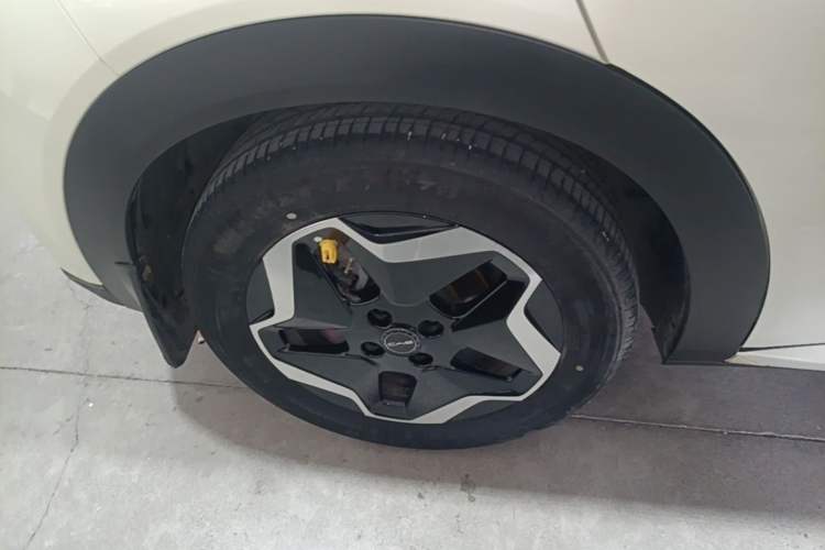 Used BYD Dolphin 2021 405 km Free Version Right Rear Wheel Hub