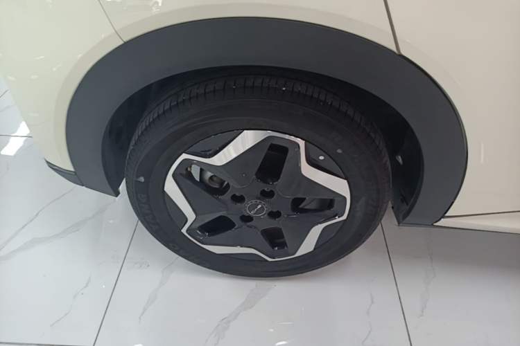 Used BYD Dolphin 2021 405 km Fashion Edition Right Rear Wheel Hub