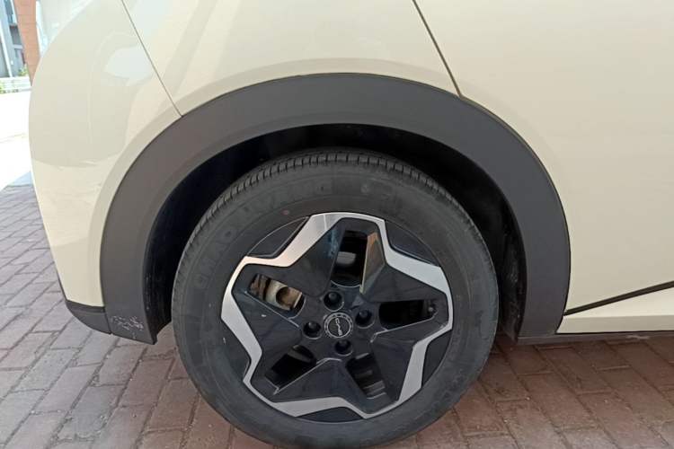 Used BYD Dolphin 2021 405 km Fashion Edition Right Rear Wheel Hub