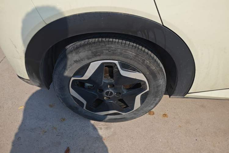 Used BYD Dolphin 2021 405 km Free Version Right Rear Wheel Hub