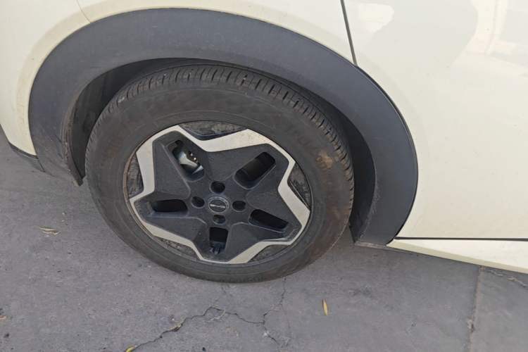 Used BYD Dolphin 2021 405 km Fashion Edition Right Rear Wheel Hub