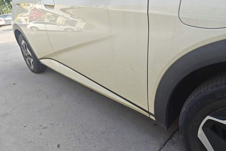 Used BYD Dolphin 2021 405 km Fashion Edition Right Side Sill