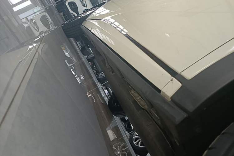 Used BYD Dolphin 2021 405 km Fashion Edition Right Side Sill