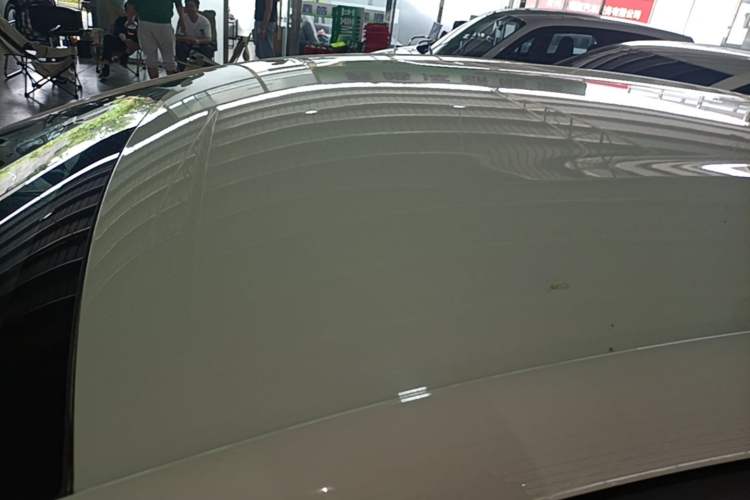 Used BYD Dolphin 2021 405 km Free Version Roof