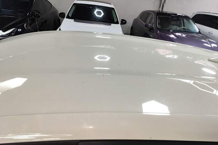 Used BYD Dolphin 2021 405 km Free Version Roof